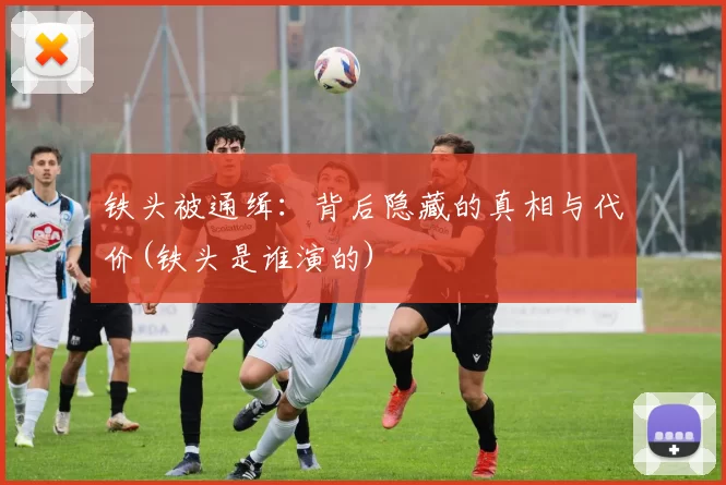 铁头被通缉：背后隐藏的真相与代价(铁头是谁演的)